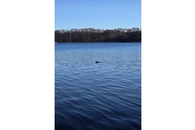 Ferienhaus 12 am See