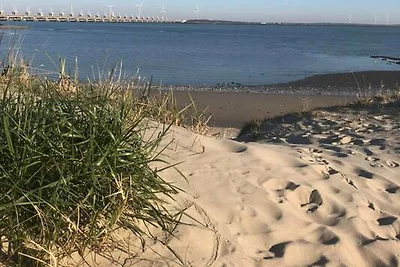Beach-Chalet-Zeeland am Strand