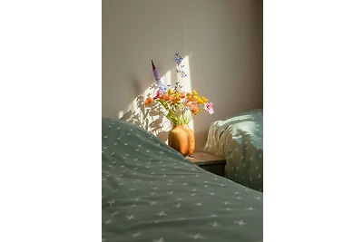 Omas-Strandhaus-Zeeland NL