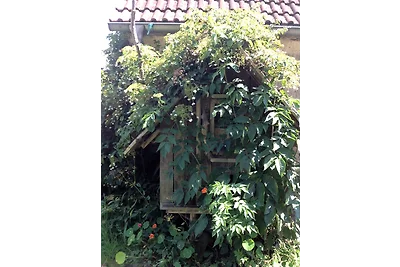 Ferienhaus Mahlitzsch