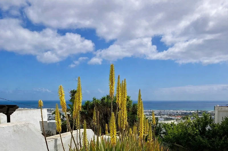 Türkisblaues Meer, tropische Küste, Palmen und Aloen im Wind.