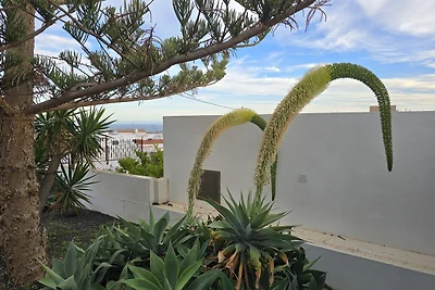 FINCA DEL SOL  AP1