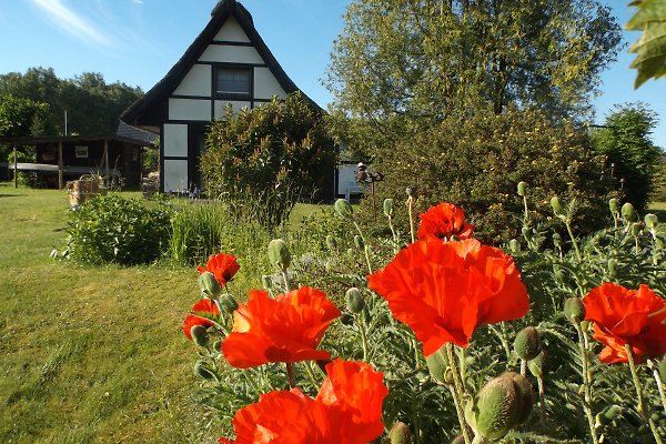 Ferienhaus Borkow