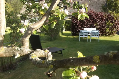 Urlaub unterm Schilfdach