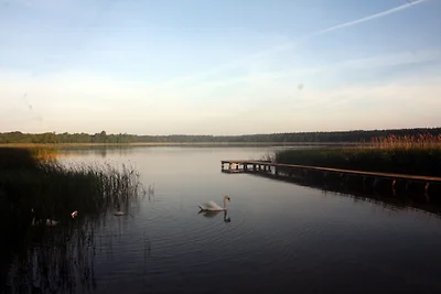 Urlaub unterm Schilfdach