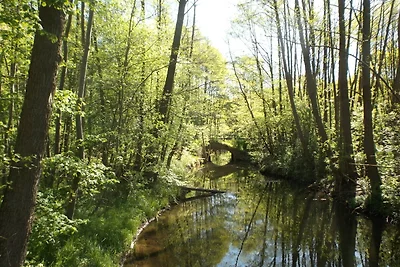 Urlaub unterm Schilfdach