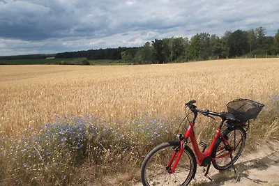 Urlaub unterm Schilfdach