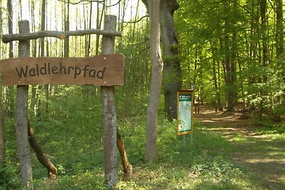 Urlaub unterm Schilfdach