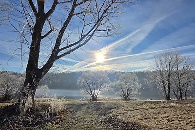 Ferienhaus zu den Birken