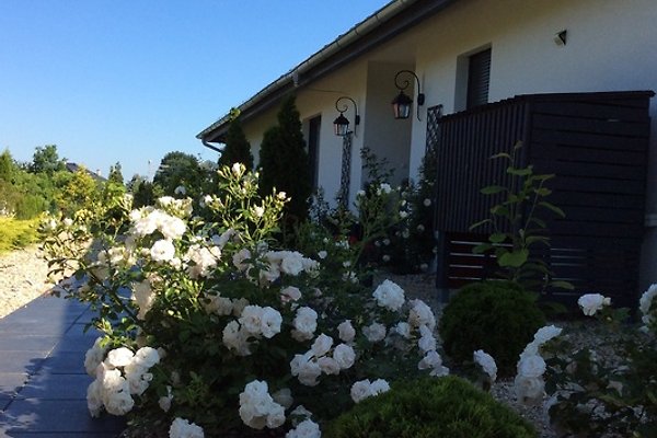 Ferienwohnung Zgorzelec-Lagow