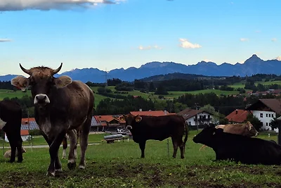 Pension Alpenblick Ferienwohnung Mibbadinn