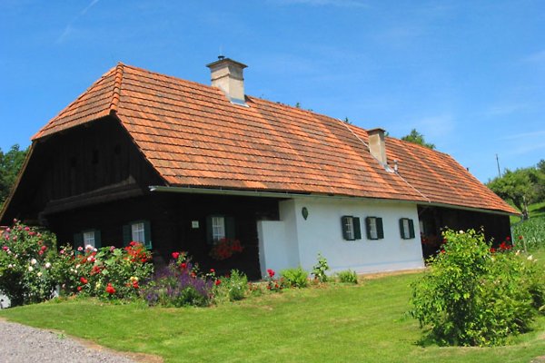 Ferienhaus Paldau