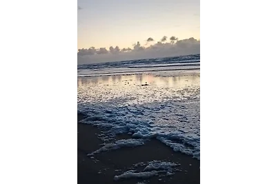 Strandnähe für 2 und 4 Pfoten