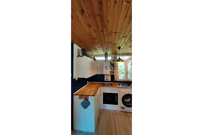 Strandnähe für 2 und 4 Pfoten