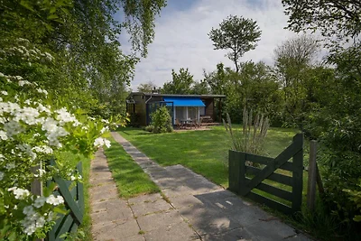 Strandnähe für 2 und 4 Pfoten