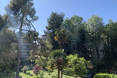 MarinGradoPineta