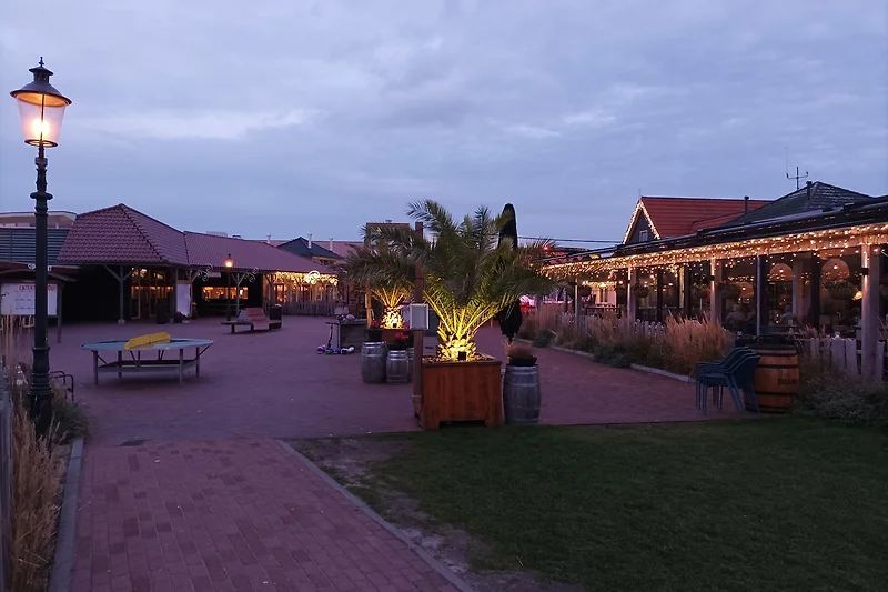 Palmen, Spazierweg und Lichtmast im Schatten bei abendlicher Stimmung.