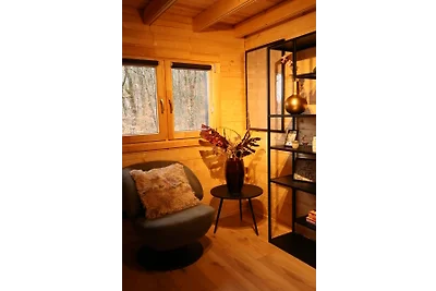 Boshuisje Maison Du Bois Lumiére