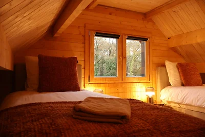 Boshuisje Maison Du Bois Lumiére