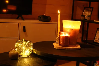 Boshuisje Maison Du Bois Vita