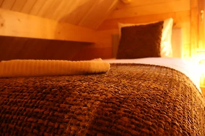 Boshuisje Maison Du Bois Lumiére