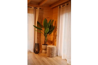 Boshuisje Maison Du Bois Lumiére