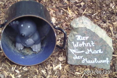Oase mit Pool und Garten