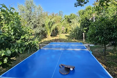 Quinta do Convento und Glamping