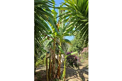 Quinta do Convento und Glamping