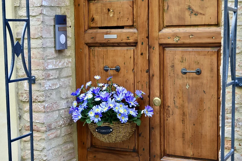 Holztür mit Blumenarrangement aus Geranien und Lobelien im Topf.