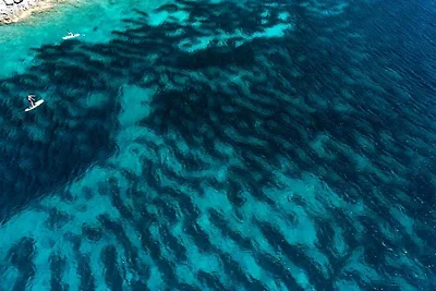 Vakantiehuis Ontspannende vakantie Zavalatica