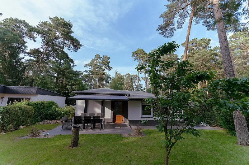 Blick auf die Terrasse ihres Ferienhauses im Grünen