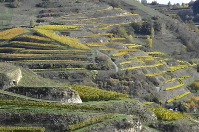 Haus Lavendel Wohnung 3