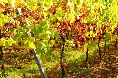 Haus Lavendel Wohnung 3