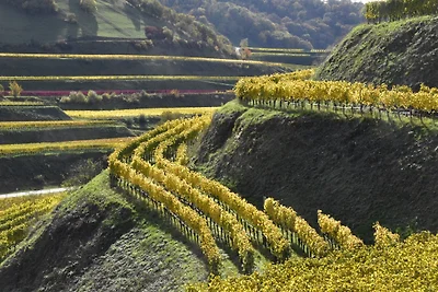 Haus Lavendel Wohnung 3
