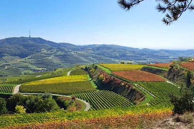 Haus Lavendel Wohnung 3