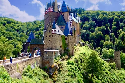 Moselblick & Burgblick, Koblenz/ Dieblich