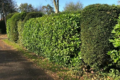 De Duinrand, Oosterpark 114