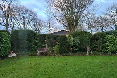 De Duinrand, Oosterpark 114