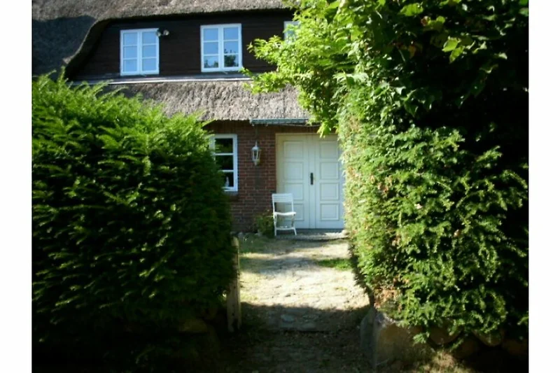 Reetgedecktes Haus mit Garten, gepflegtem Rasen und Einfahrt.