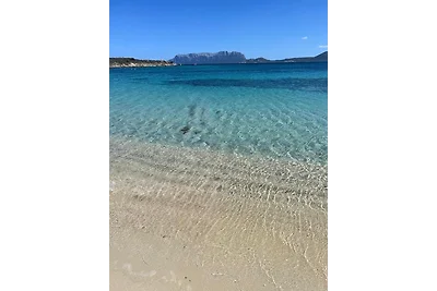 Appartamento Pietro direkt am Meer