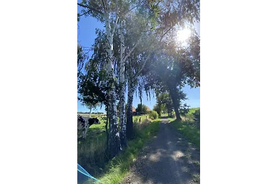 Bauwagen Wusel im Auszeit Bauwagencamp