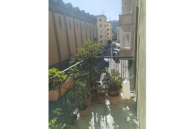 Casa Rosa