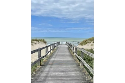 The Dune Nest 233