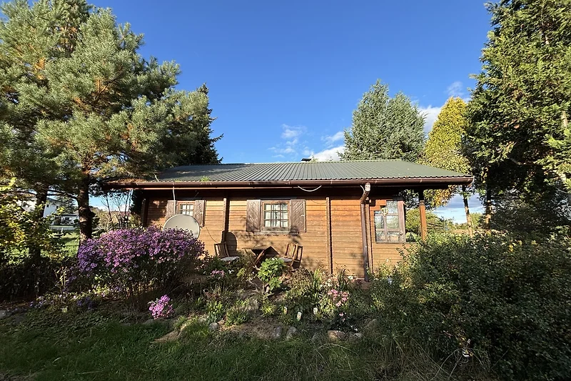 Ruhiges Landhaus mit Garten, Nadelbäumen und großzügigem Grundstück.