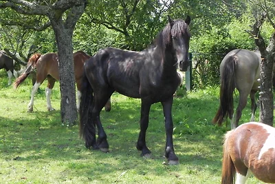 Bauernhaus im Burgund