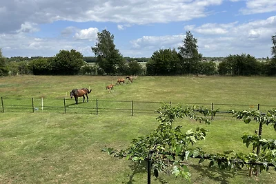 't Beerzerachterhuus