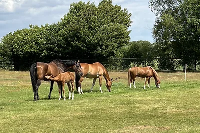 't Beerzerachterhuus