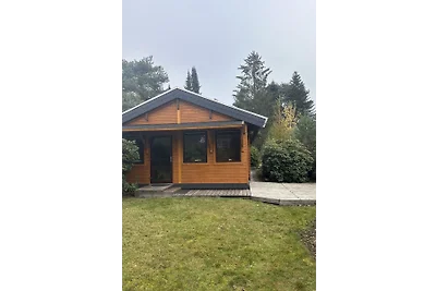 Haus Schmetterling Dankern