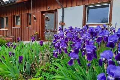 Ferienwohnung Lieblingsplatz